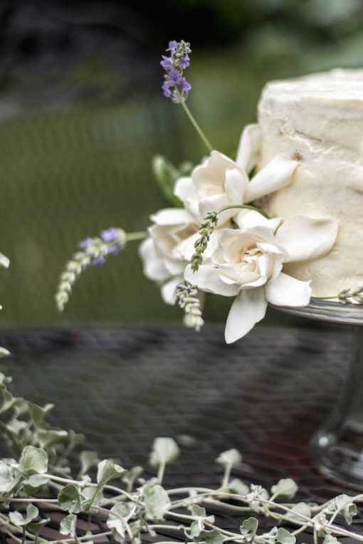 Chèvre (Goat Cheese) Buttercream Icing Kenan Hill